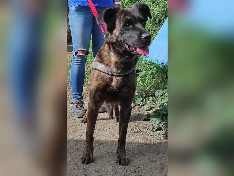 LEXI wartet sehnsüchtig auf ihre 2. Chance