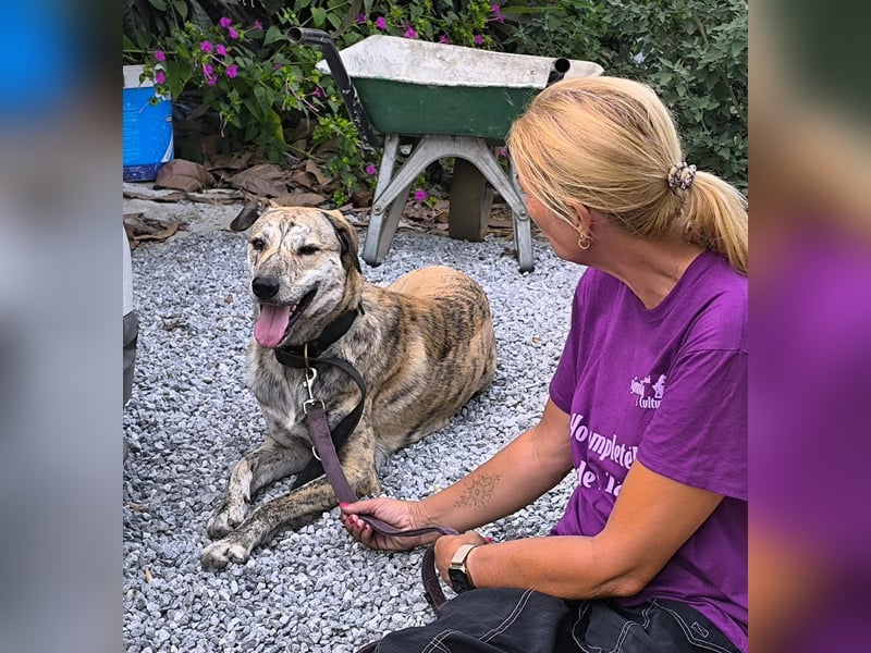 Draco wartet auf seine 2. Chance