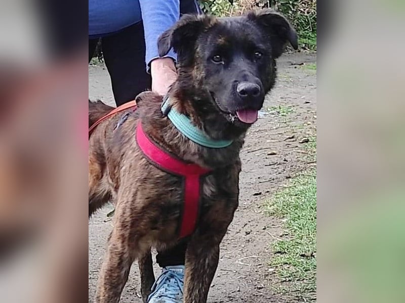 Lexi wartet sehnlichst auf ihre 2. Chance