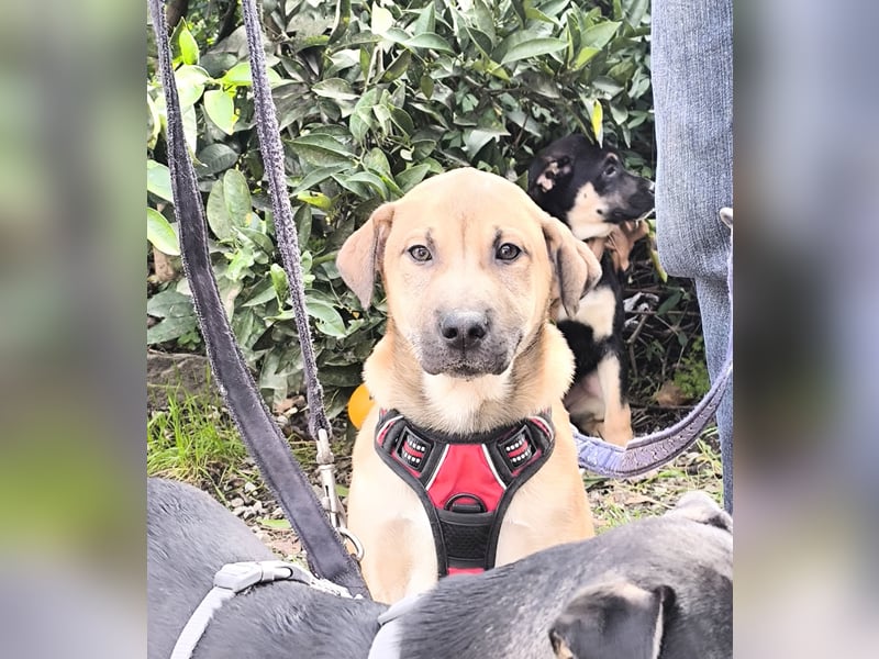 MAVERICK ist bereit für seine Familie