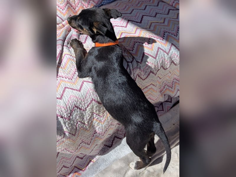 Süße MIMI möchte dein Herz erobern!