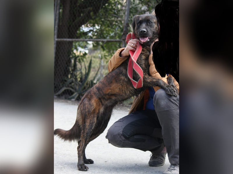 Lexi wartet sehnlichst auf ihre 2. Chance