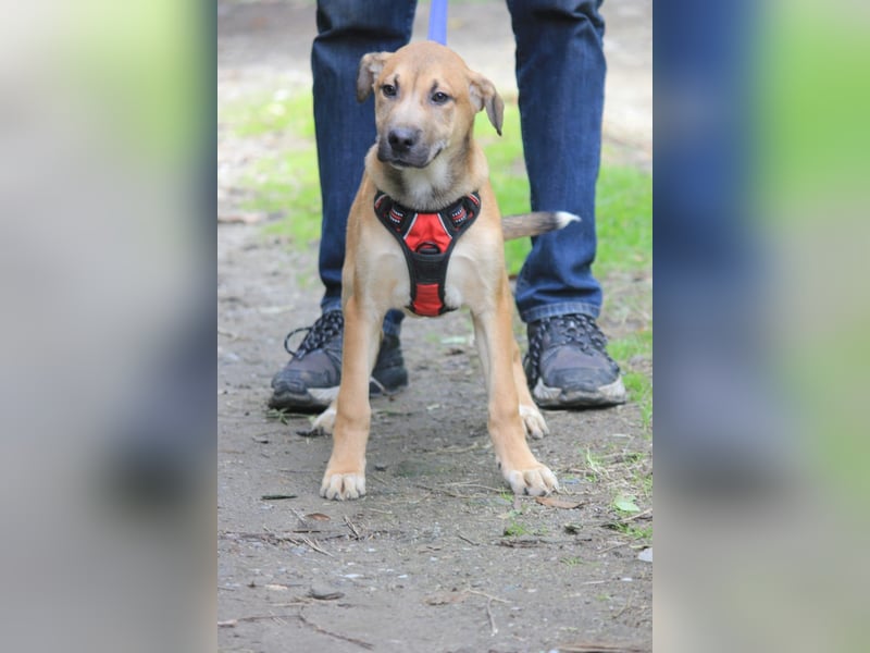 MAVERICK ist bereit für seine Familie