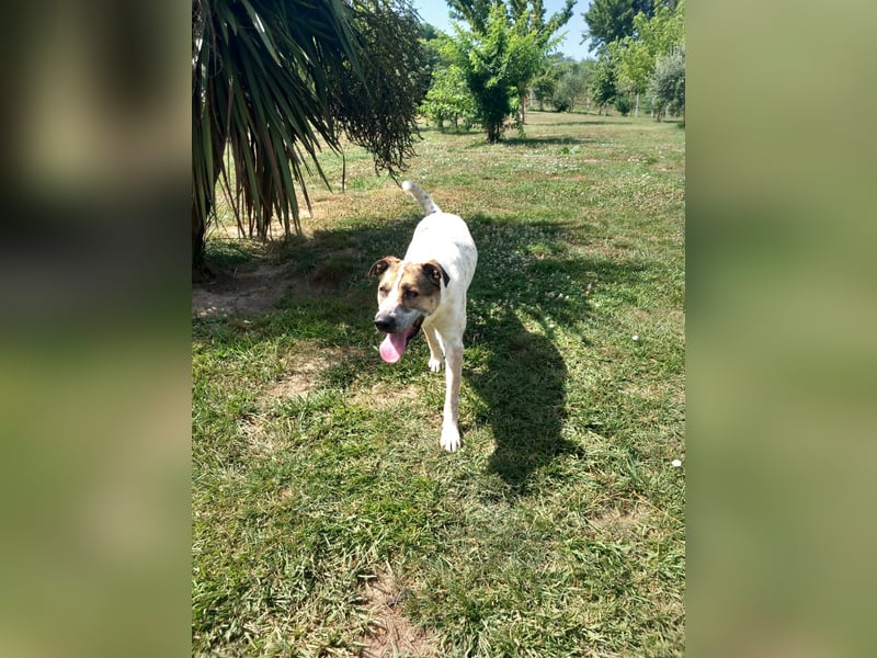 Billy such seine Paten