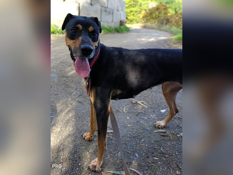 MAWI sucht ihr Für-Immer-Körbchen