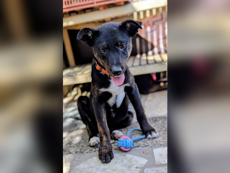 Süße MIMI möchte dein Herz erobern!