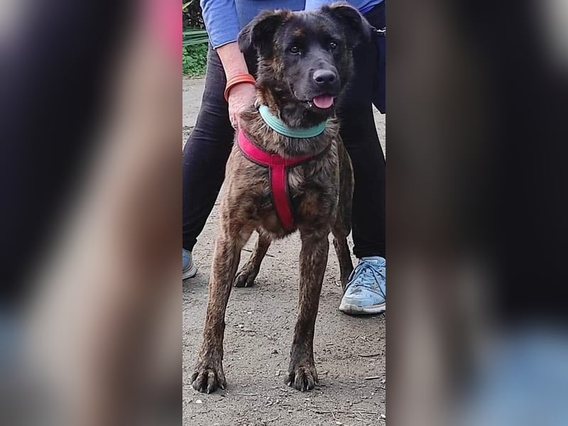 LEXI wartet sehnsüchtig auf ihre 2. Chance