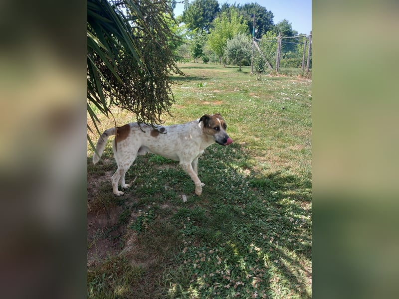 Billy such seine Paten