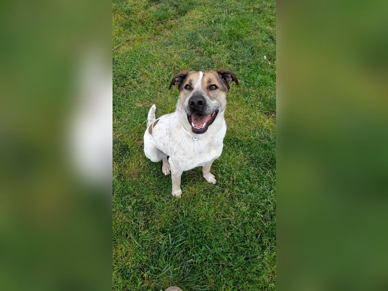 Billy such seine Paten