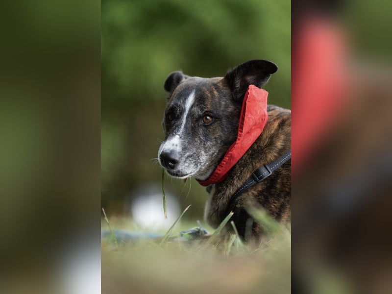 Gas sucht dringend ein neues Zuhause