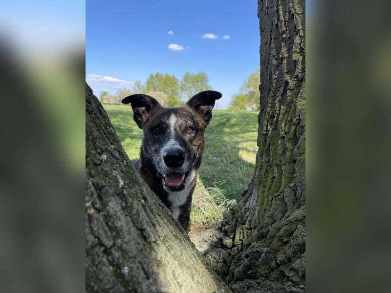 Gas sucht dringend ein neues Zuhause