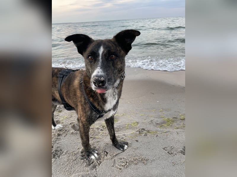 Gas sucht dringend ein neues Zuhause