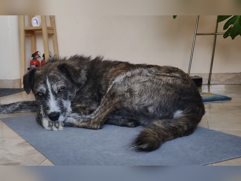 Luke: seine Gelassenheit ist unbeschreiblich