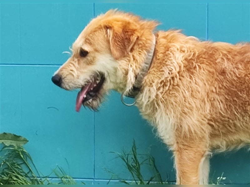 Zobie möchte endlich ankommen