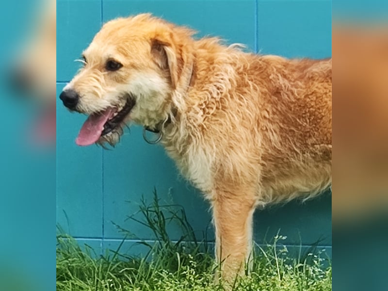 Zobie möchte endlich ankommen