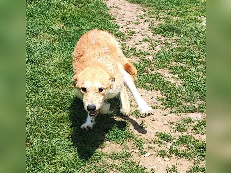 Zobie möchte endlich ankommen