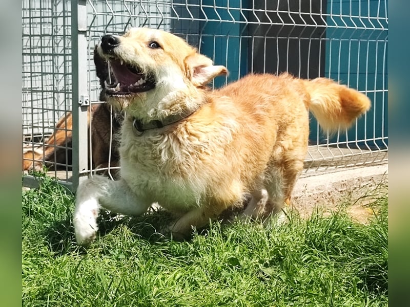 Zobie möchte endlich ankommen