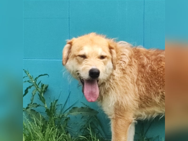 Zobie möchte endlich ankommen