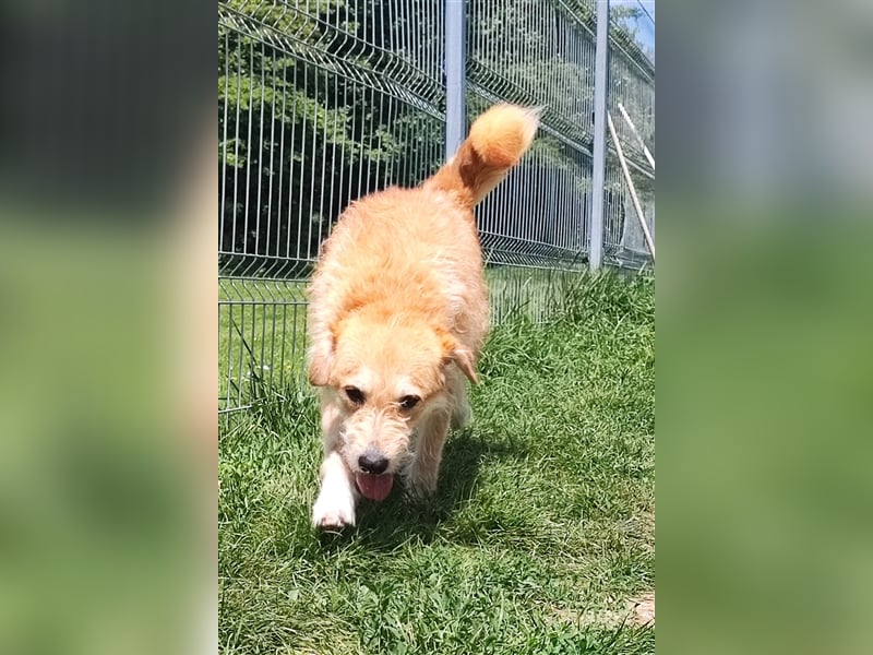 Zobie möchte endlich ankommen