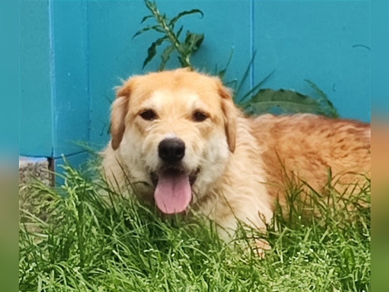 Zobie möchte endlich ankommen