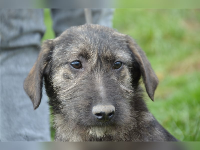 Maja sucht ihre Familie