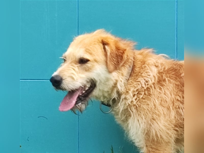 Zobie möchte endlich ankommen