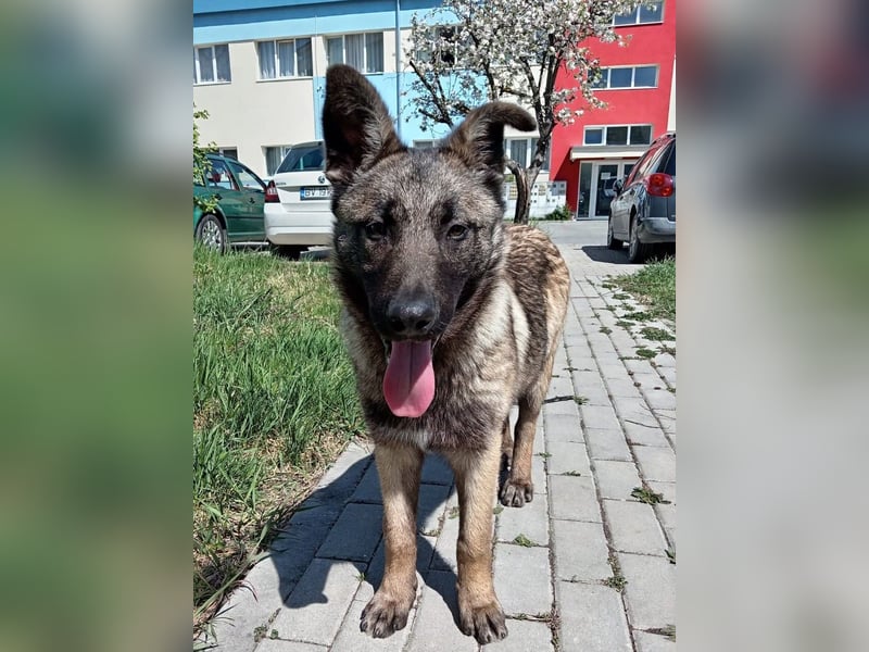 Leia möchte so gerne ankommen!!