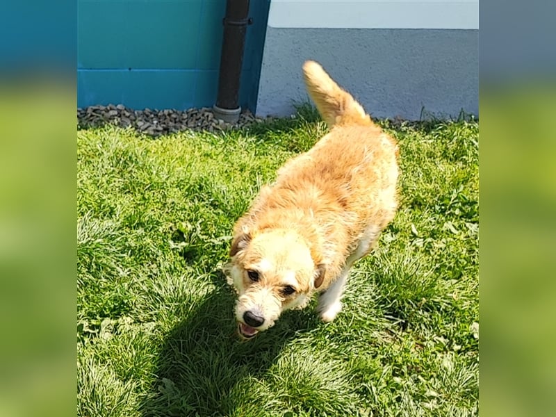 Zobie möchte endlich ankommen