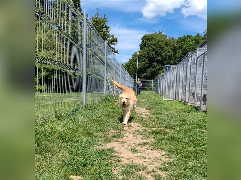 Zobie möchte endlich ankommen