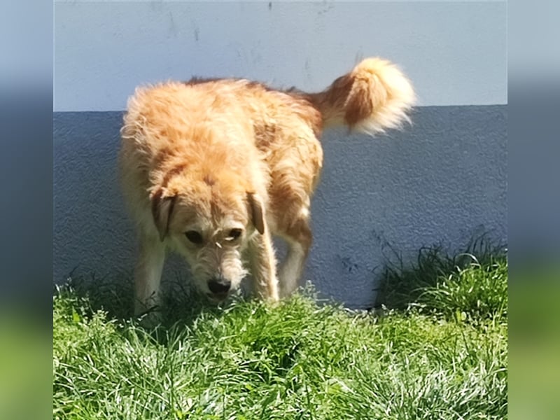 Zobie möchte endlich ankommen