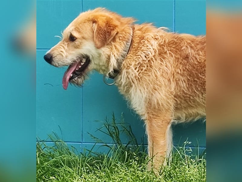 Zobie möchte endlich ankommen