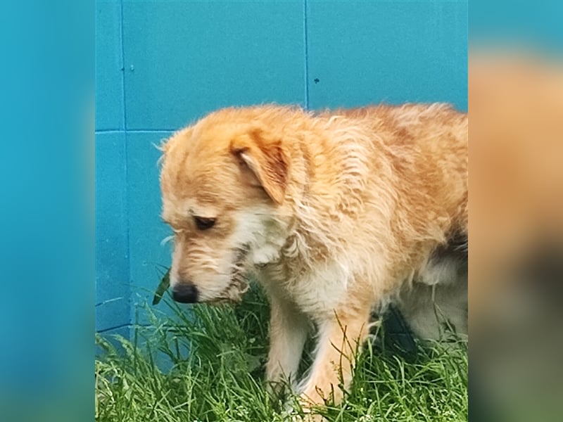 Zobie möchte endlich ankommen