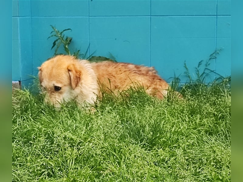 Zobie möchte endlich ankommen