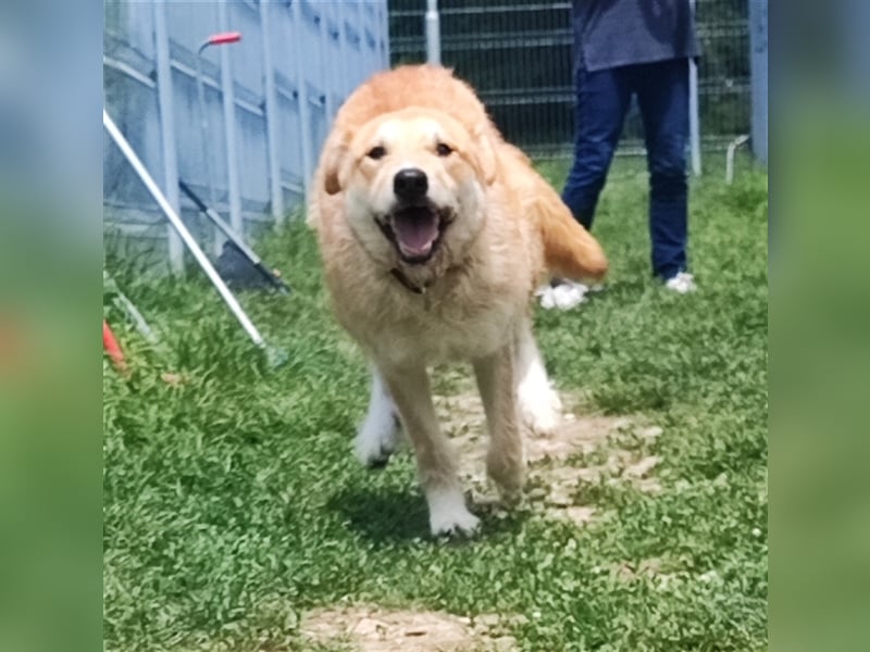 Zobie möchte endlich ankommen