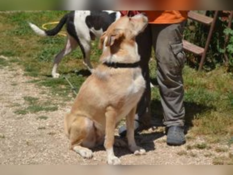 Avela, eine intelligente und durchsetzungsfähige Persönlichkeit