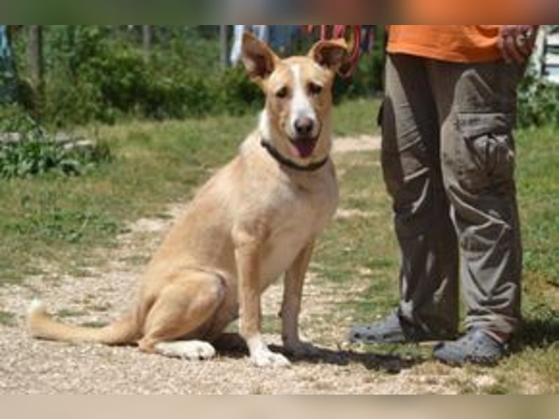 Avela, eine intelligente und durchsetzungsfähige Persönlichkeit