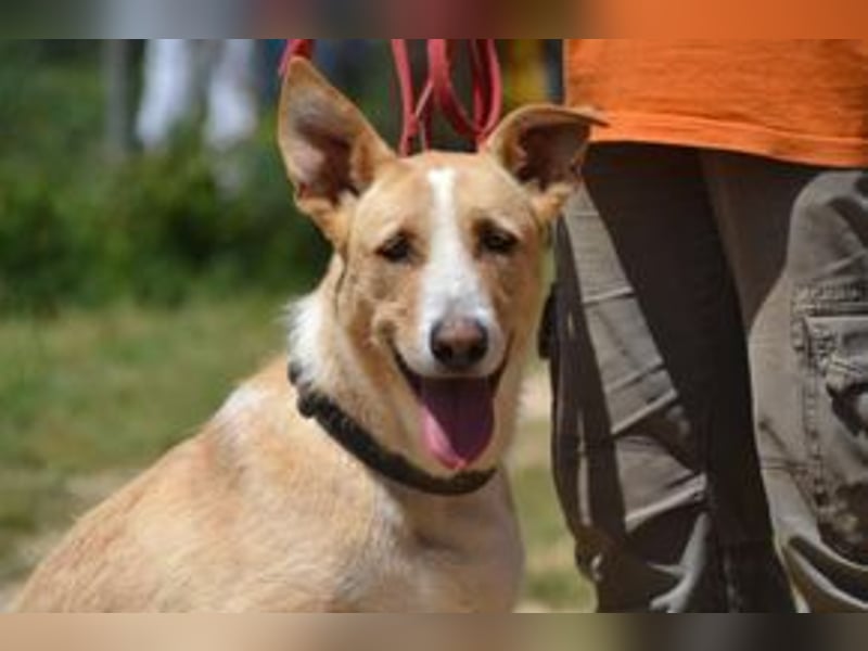 Avela, eine intelligente und durchsetzungsfähige Persönlichkeit