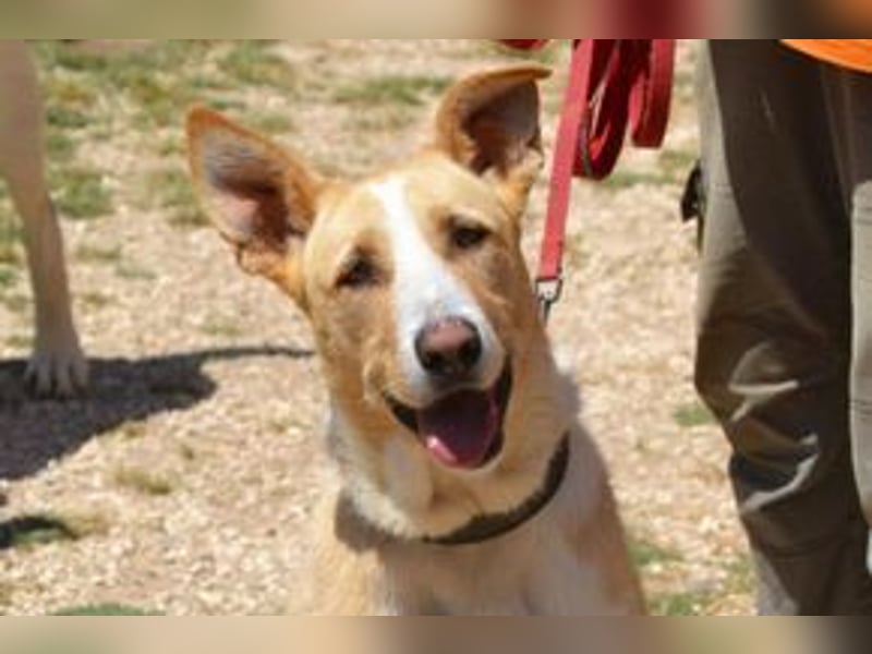 Avela, eine intelligente und durchsetzungsfähige Persönlichkeit