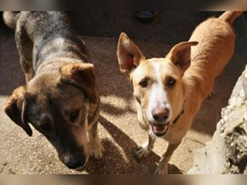 Avela, eine intelligente und durchsetzungsfähige Persönlichkeit