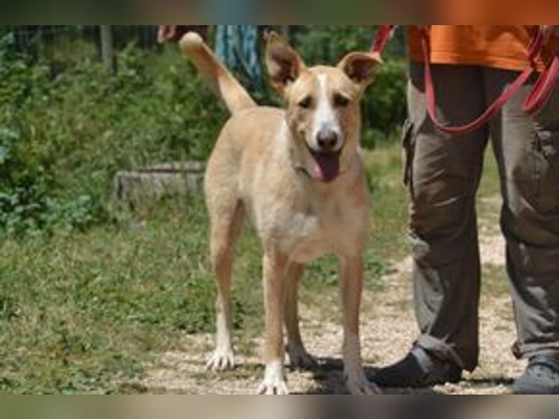 Avela, eine intelligente und durchsetzungsfähige Persönlichkeit