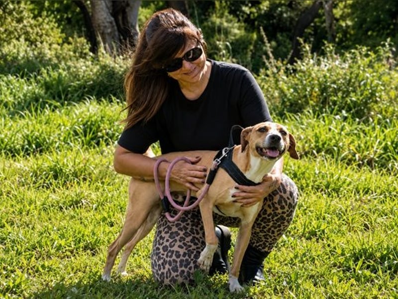Bachi - junger Herzenshund sucht Zuhause