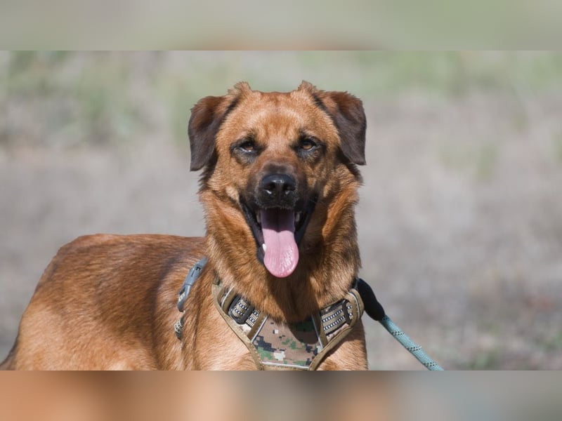 Caju – sensibel und liebevoll