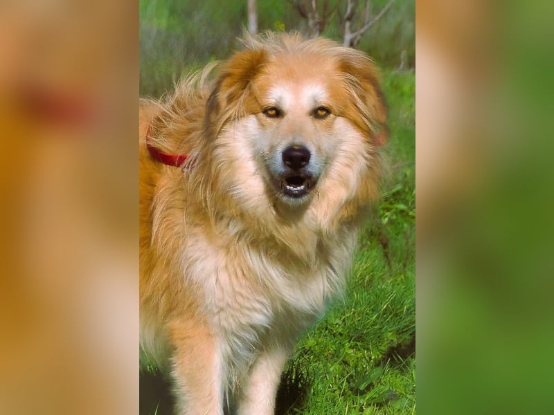 Rolex – anhänglich und aufgeschlossen