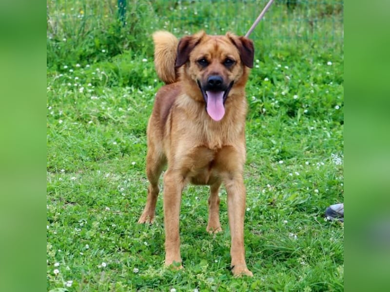 Caju – sensibel und liebevoll