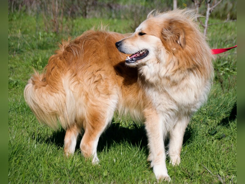 Rolex – anhänglich und aufgeschlossen