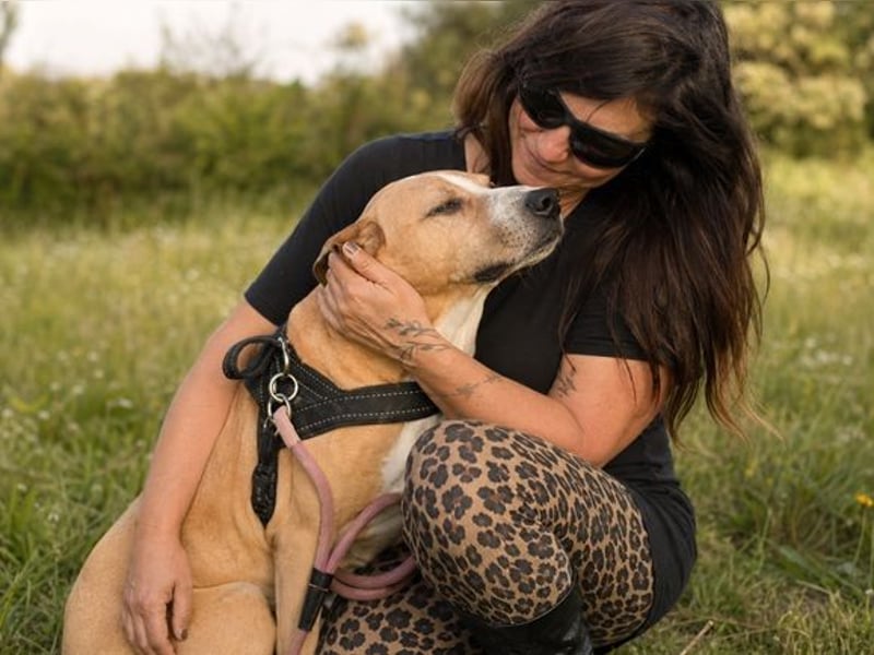 Bachi - ein liebenswerter Schatz