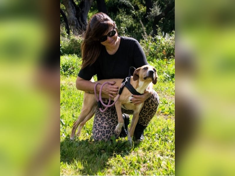 Bachi - ein liebenswerter Schatz