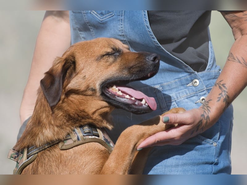 Caju – sensibel und liebevoll