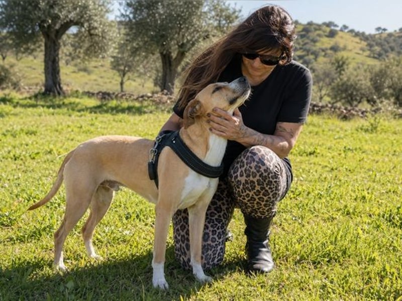 Bachi - ein liebenswerter Schatz