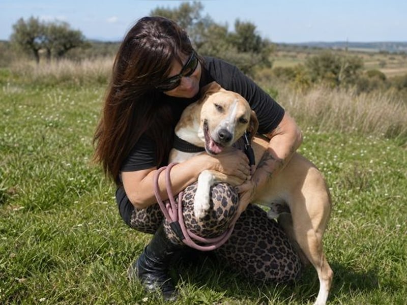 Bachi - ein liebenswerter Schatz